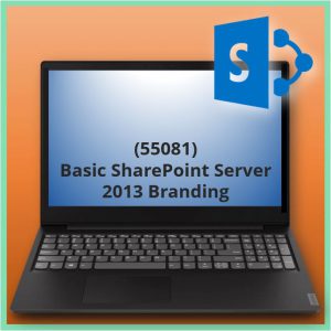 Basic SharePoint Server 2013 Branding (55081)
