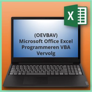 Microsoft Office Excel Programmeren VBA Vervolg (OEVBAV)